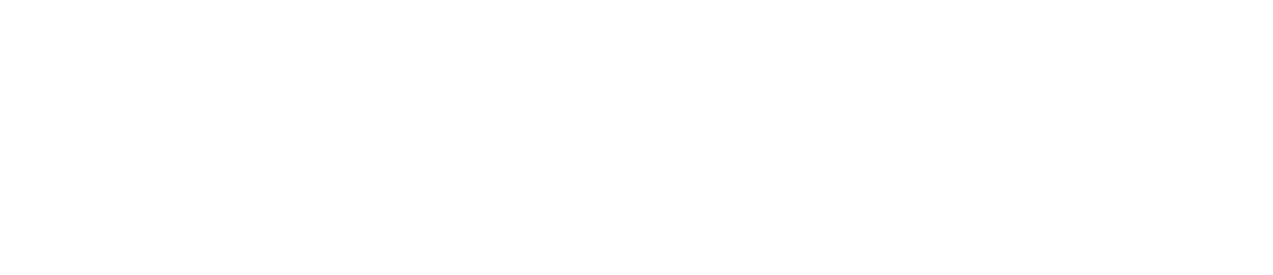 Carelon_Logo-white